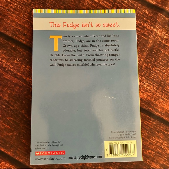 📚 Short Chapter Book Bundle (4) - Picture 10 of 13